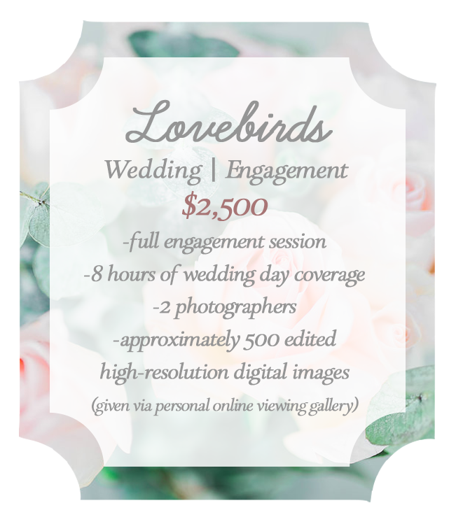 lovebirds package: wedding/engagement. full engagement session, eight hours of wedding day coverage, two photographers, approximately 500 edited high-resolution digital images, given via personal online viewing gallery