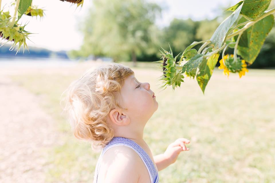 todler boy smelling a sunflower